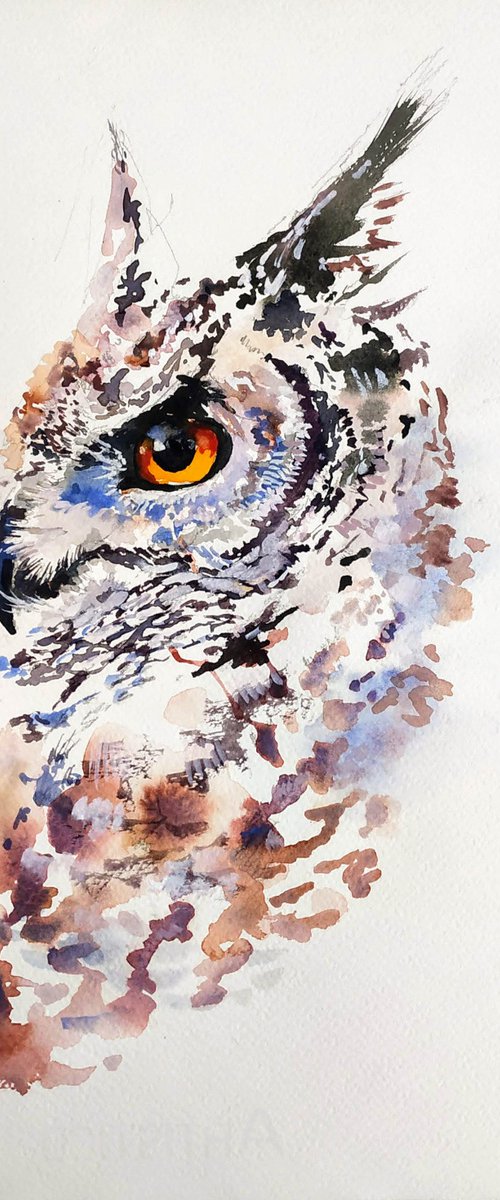 Eagle Owl portait by Flavio Furlan