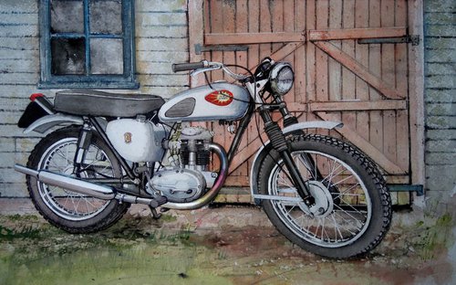 An Old Bike and an old Shed by John Lowerson