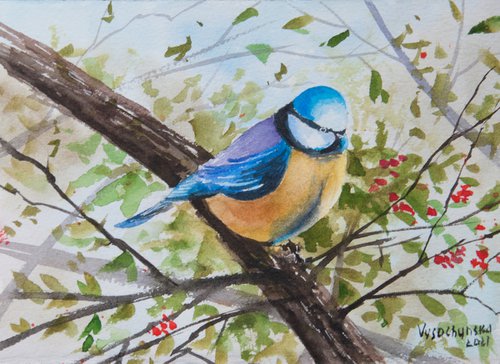 Blue tit bird painting. Original art. Little bird. by Tetiana Vysochynska