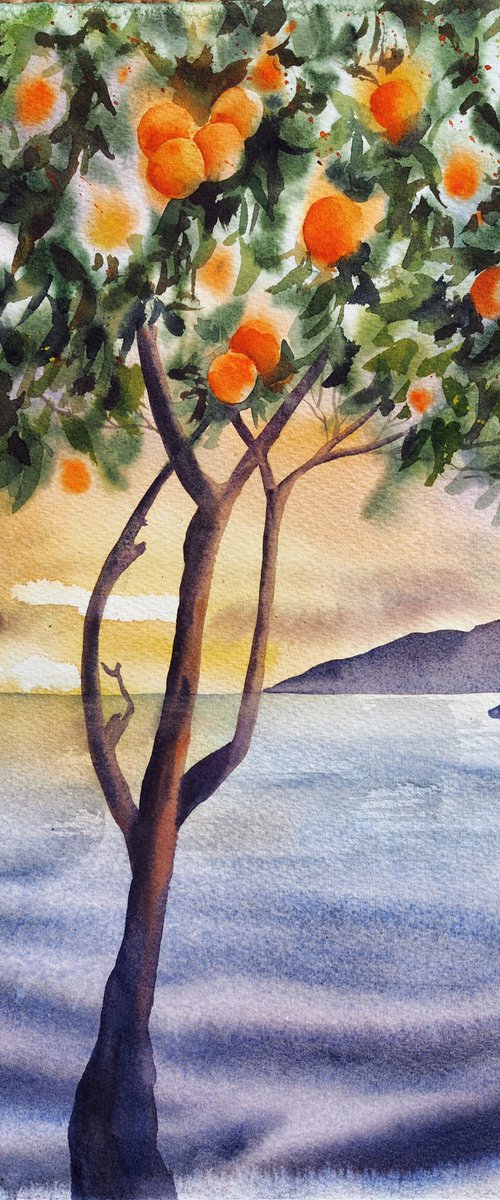 Winter mediterranean sunset with oranges tree by Delnara El