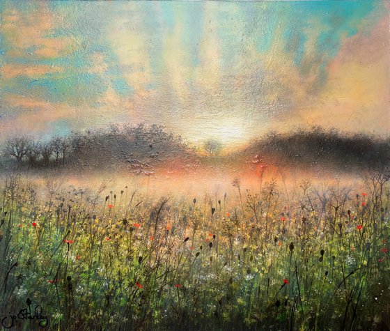 'First Light Across the Meadow'
