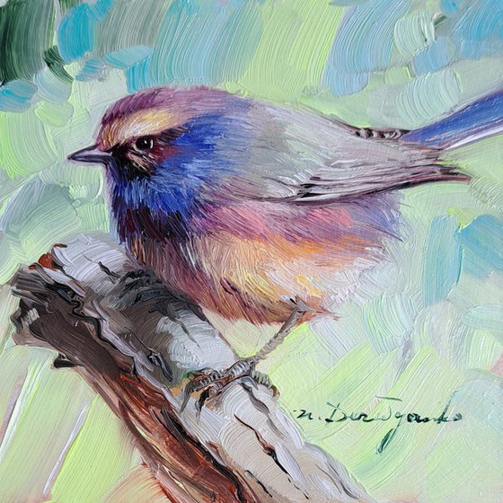 Warbler bird