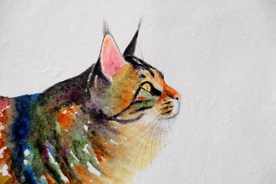 Miss Stripes Takes A Stroll