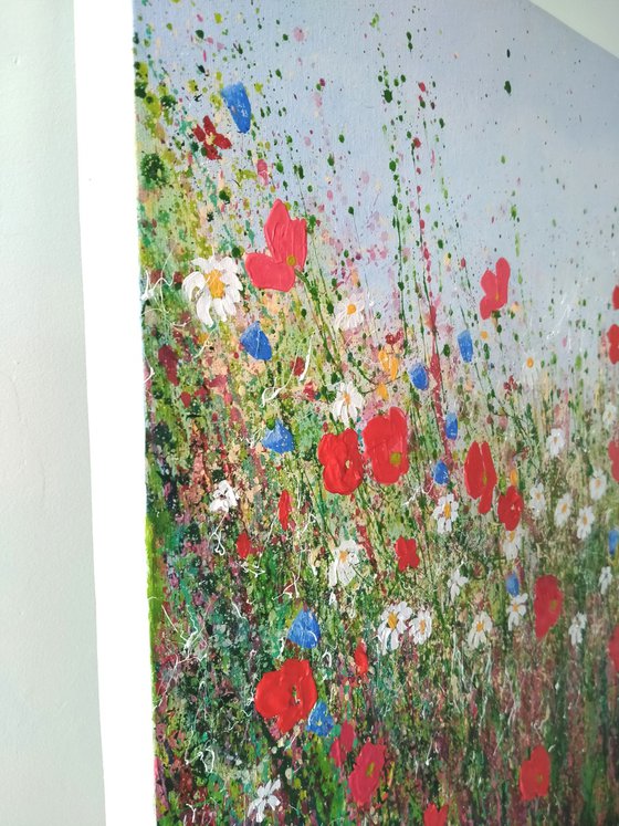Petals Poppies and Wildflowers