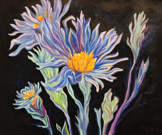 Cornflowers