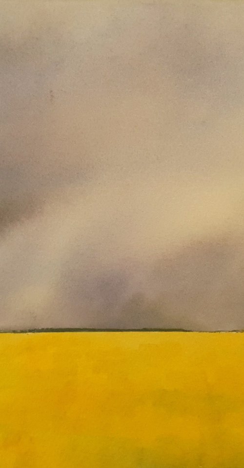 Fields of Gold by Charles Pierson
