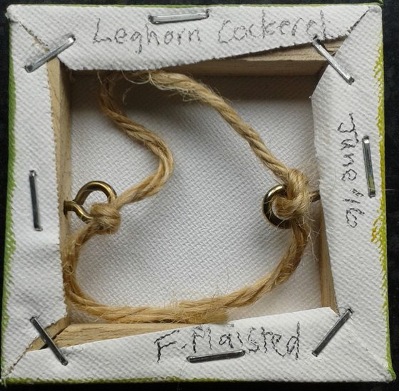 Leghorn cockerel