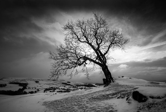 Reaching to the Heavens  Upper Hulme - Peak District National Park