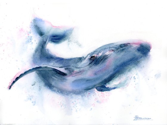 Whale