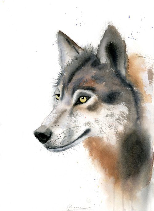 Watercolor Wolf portrait by Olga Shefranov (Tchefranov)