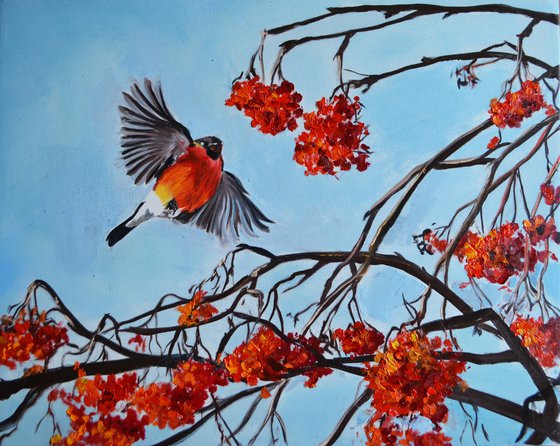 Bullfinch in flight