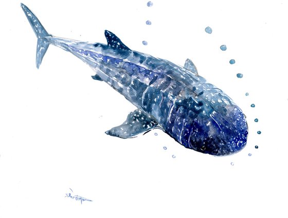 Whale Shark