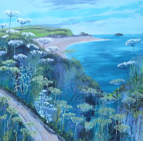 Coast path near Padstow by Elaine Allender