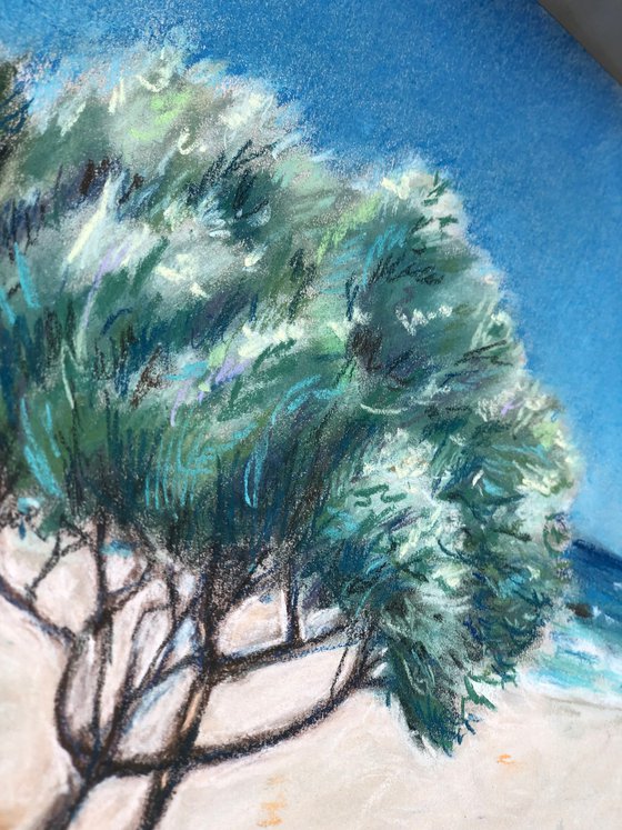 Cape Wind