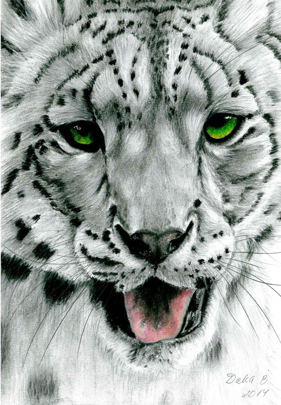 Snow leopard