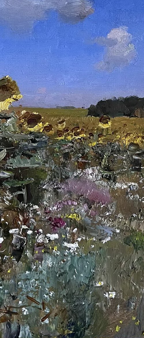 Sunny field by Denys Gorodnychyi