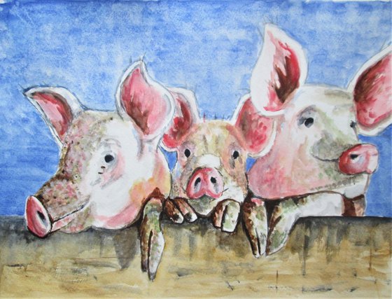 Three Little Pigs