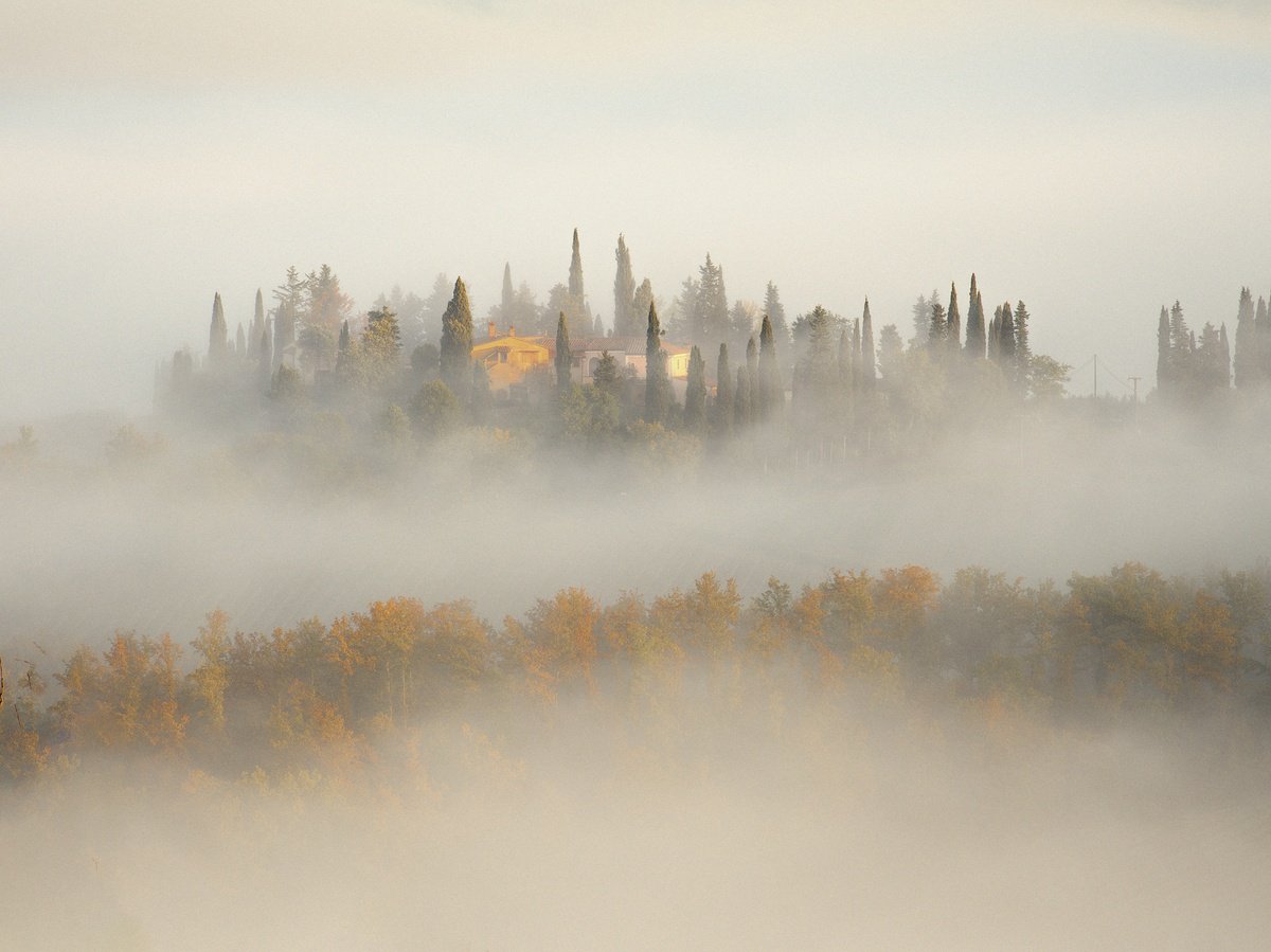 Misty ochre by Pavel Oskin