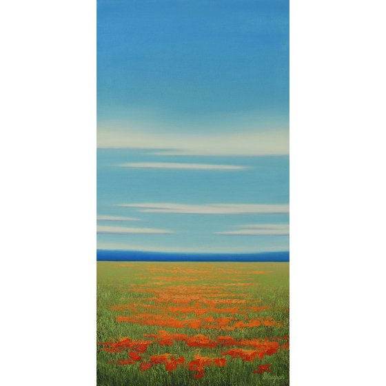 Summer Blooms - Flower Field Landscape