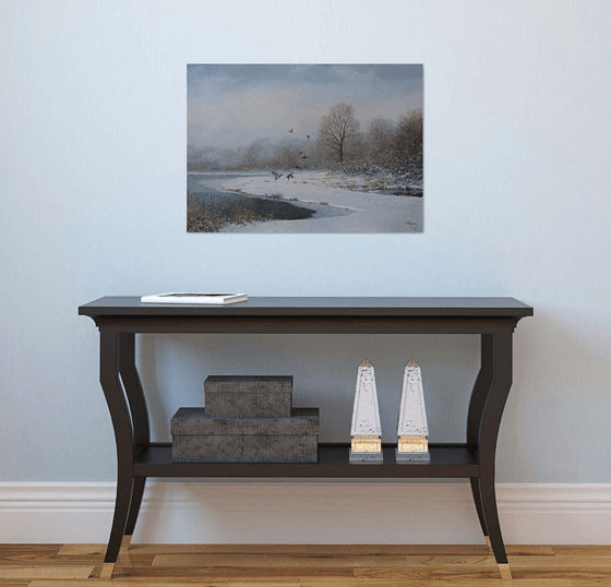 Snowlandscape with ducks