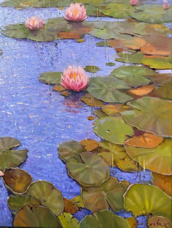 Water Lilies # 2