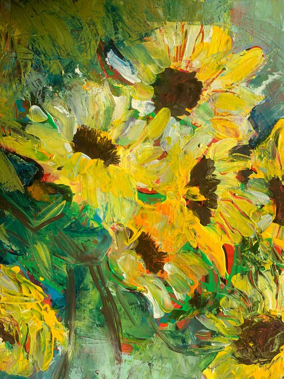Sunflower fields
