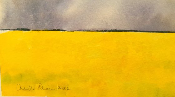 Fields of Gold
