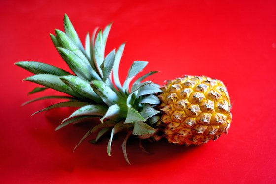 Pineapple on red background