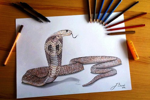 Cover image for The Best of Drawings collection
