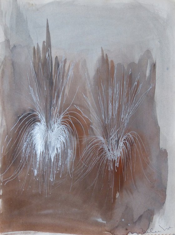 FESTIVAL Fireworks