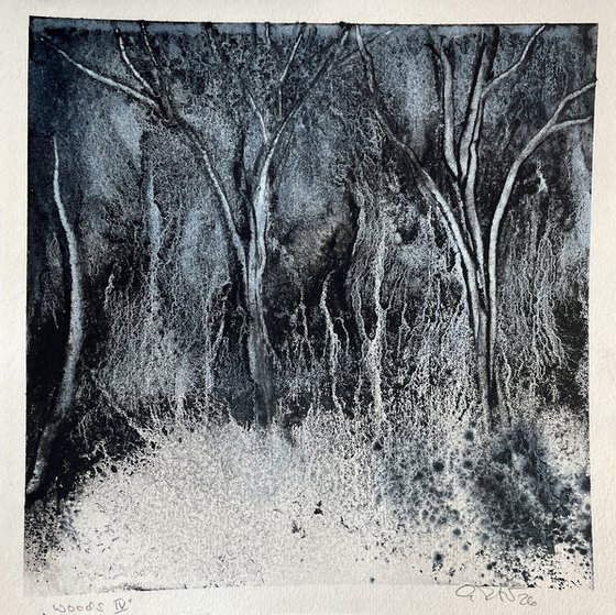 Woods IV 2026