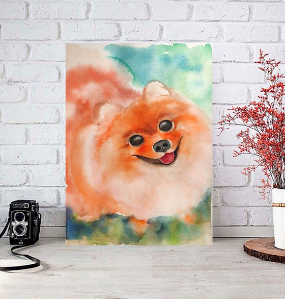 Pomeranian