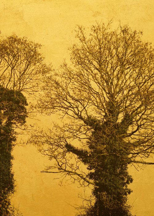 Duo ligno 1 by Andrew Mortimer
