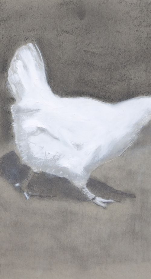 Gallina 1 by Carlos Martín