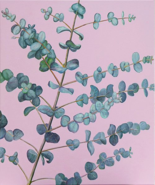 Eucalyptus Gunii by Jacqueline Talbot