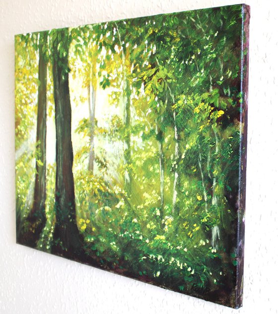 Sunlight Through the Trees