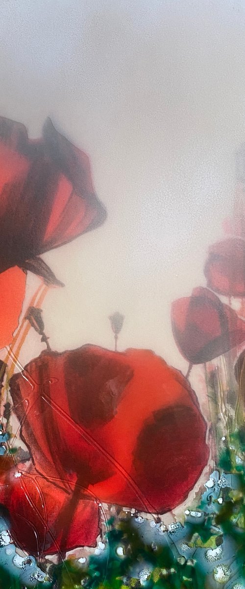 Field of poppies - Original & Limited Edition Prints Available by Robin Eckardt