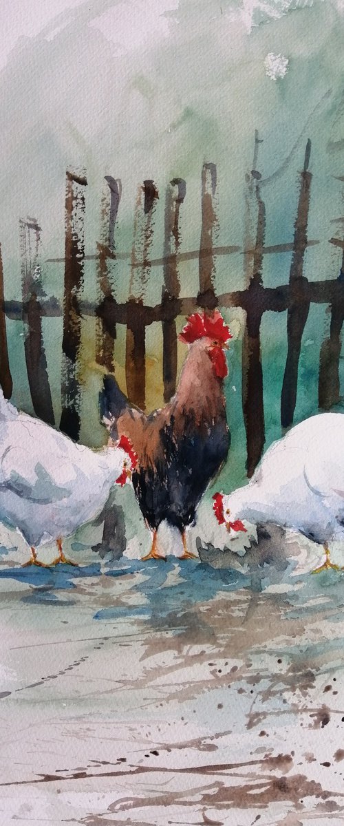 roosters and hens 11 by Giorgio Gosti