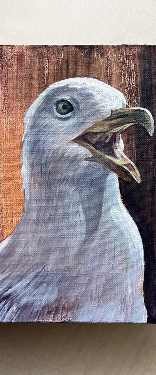 Seagull Margot. by Natalia Veyner