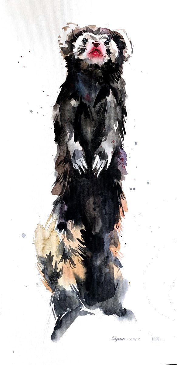 Impressionistic Animal Watercolour By Belyaeva Oleksandra, 13 X 26, Fierce Peregusna, Original Artwork
