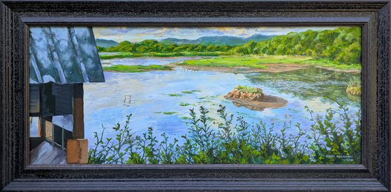 Saltram Marshes