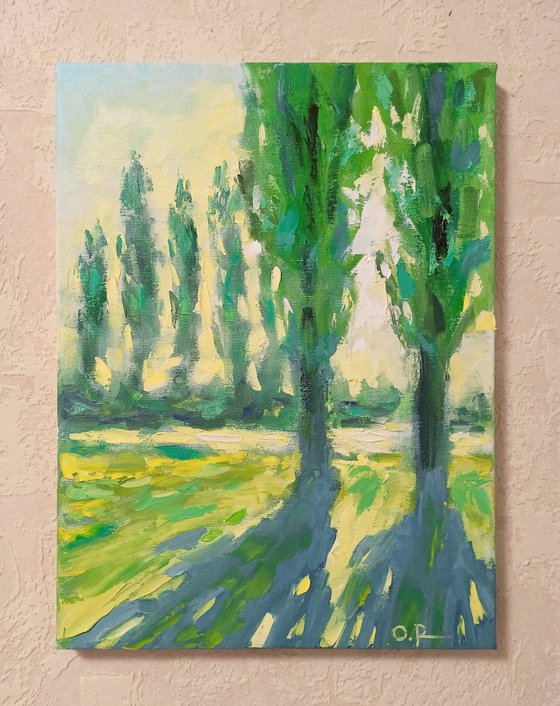 Sun in poplars 2