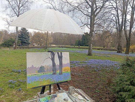 Blue primroses
