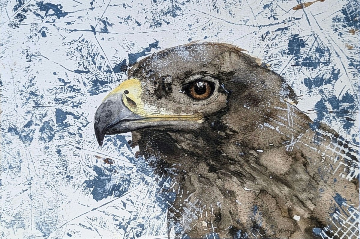 Photorealistic Animal Painting By Wowhawk, 16 X 12", Golden Eagle Mixed Media, Original Artwork
