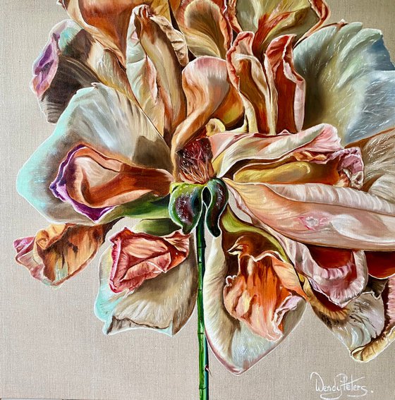 Baroque Rose