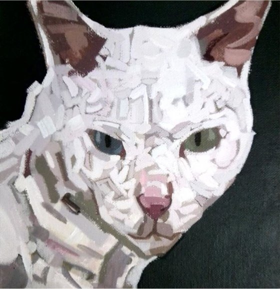 White Cat