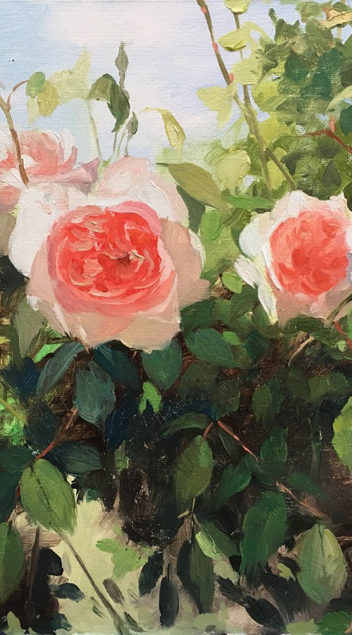 Rose Garden #04 by Ling Strube