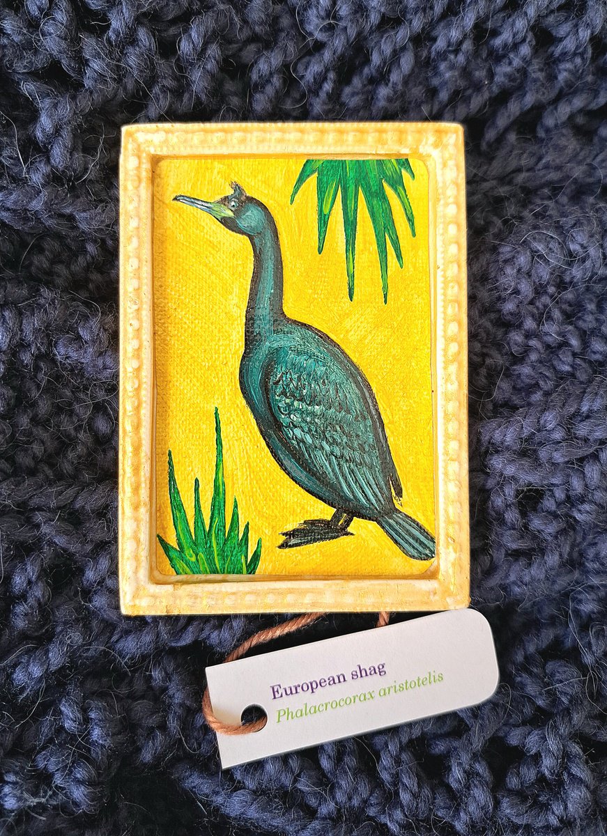 European shag, part of framed animal miniature series festum animalium by Andromachi Giannopoulou