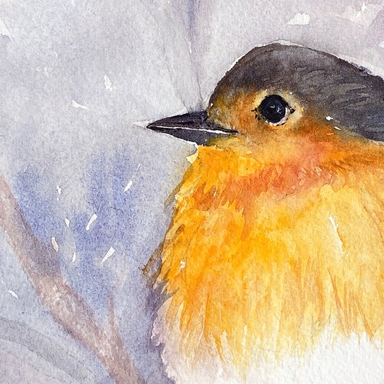 Winter Robin