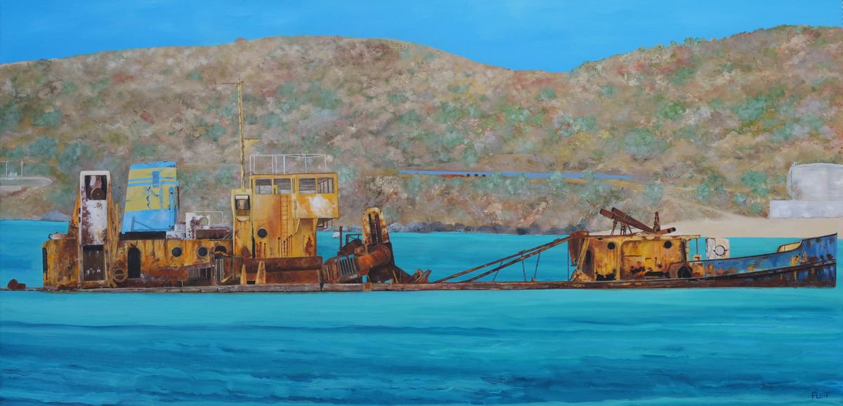 St. Martin Shipwreck, El Maud By Steven Fleit, 48 X 24, Artwork For Sale On Artfinder